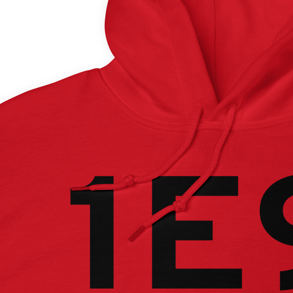 Canyon (1E9) Airport Hoodie Sweatshirt 