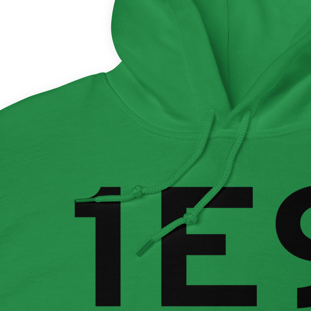 Canyon (1E9) Airport Hoodie Sweatshirt 