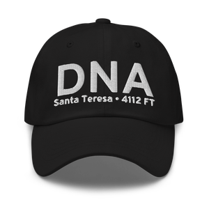 Santa Teresa (K5T6) Airport Hat