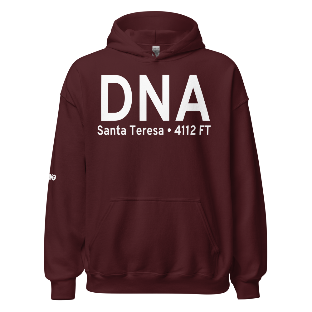 Santa Teresa (K5T6) Airport Hoodie Sweatshirt 