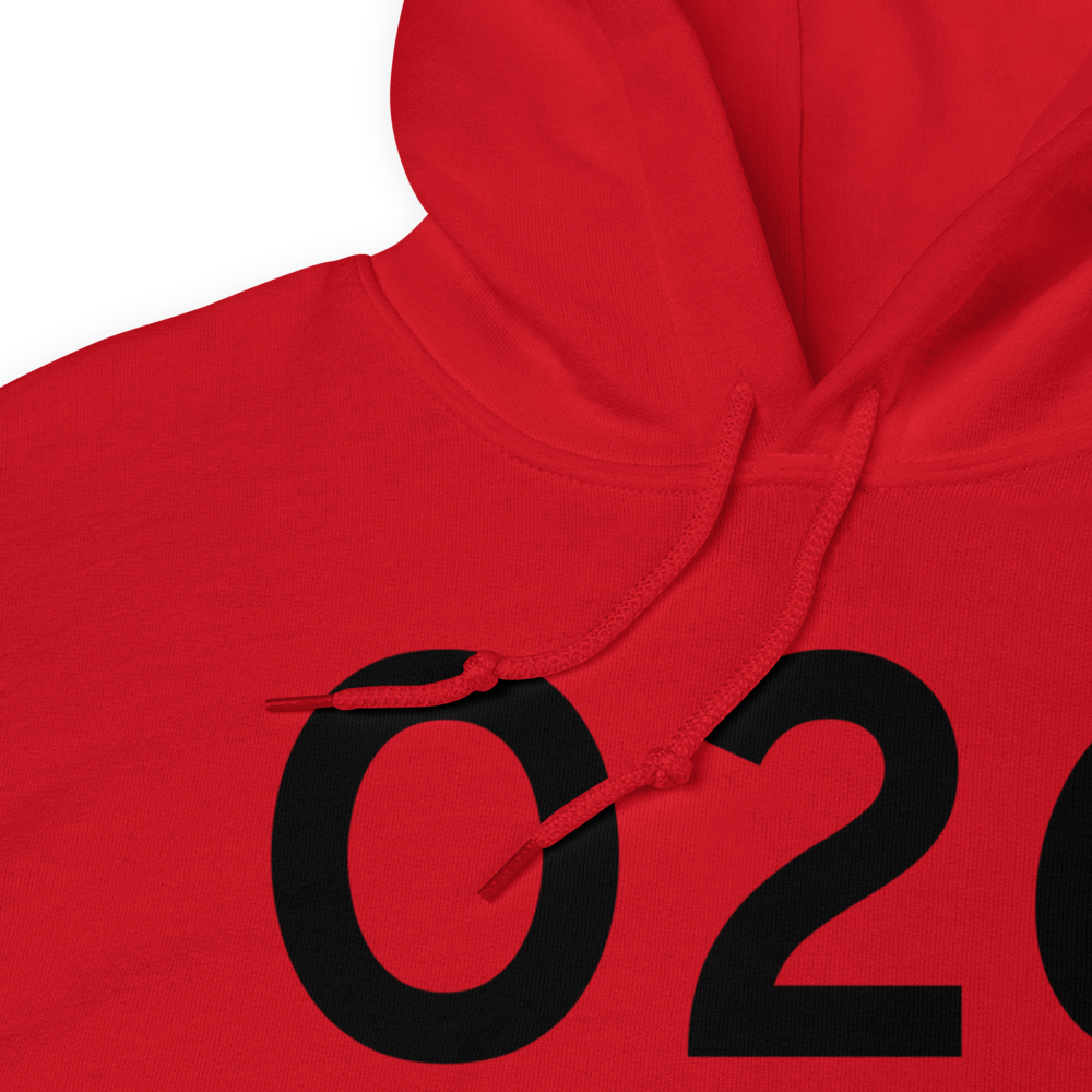 Lone Pine (KO26) Airport Hoodie Sweatshirt 