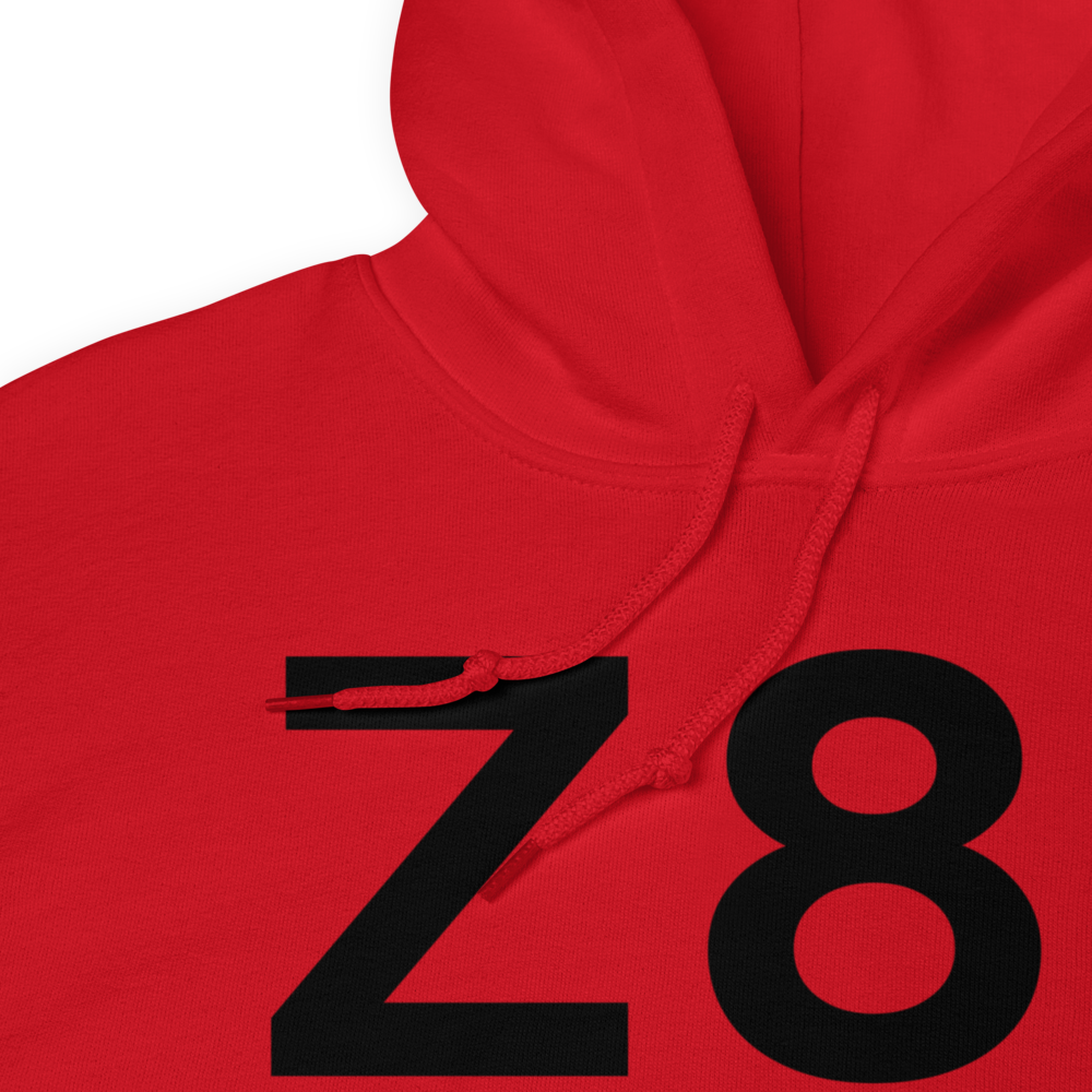 Salmon Lake (Z81) Airport Hoodie Sweatshirt 