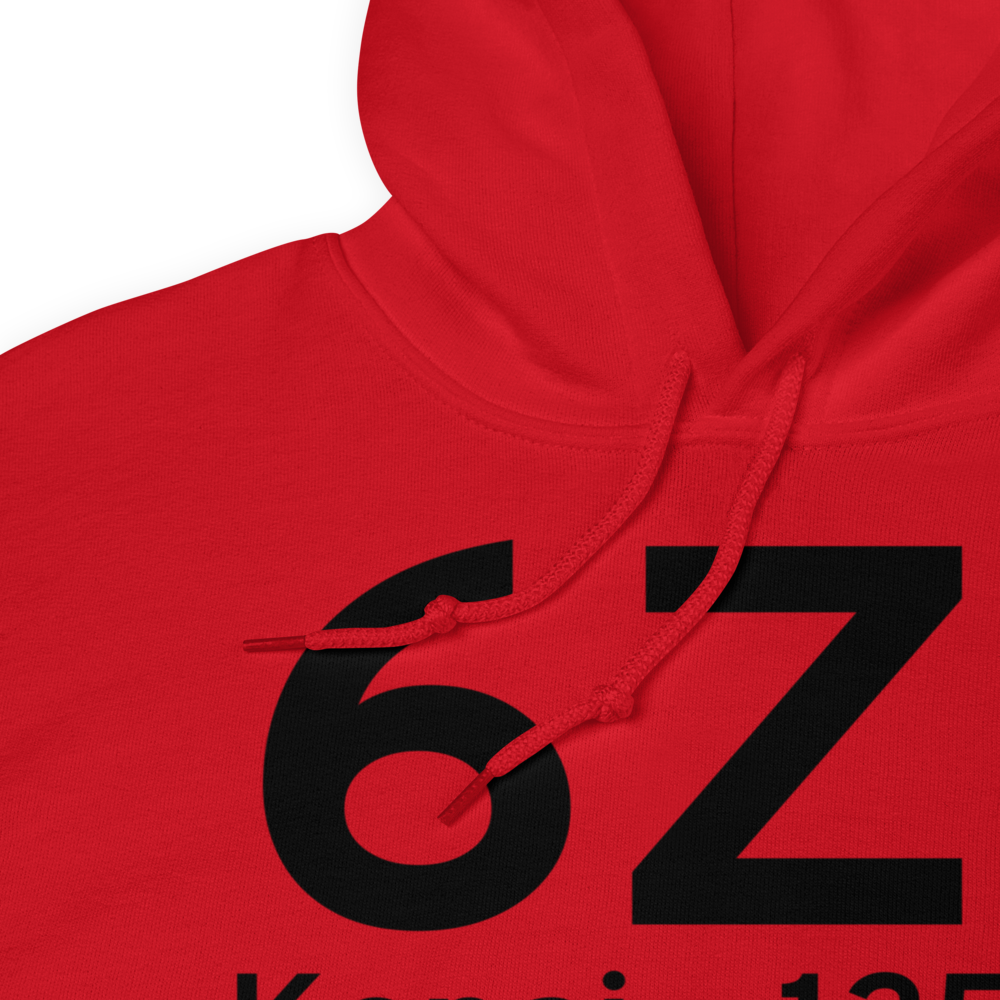 Kenai (6Z1) Airport Hoodie Sweatshirt 