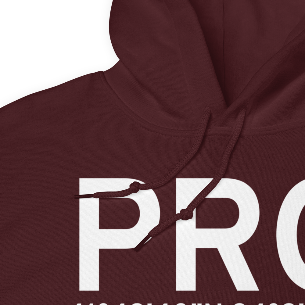 Perry (KPRO) Airport Hoodie Sweatshirt 