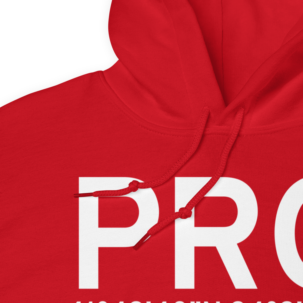 Perry (KPRO) Airport Hoodie Sweatshirt 