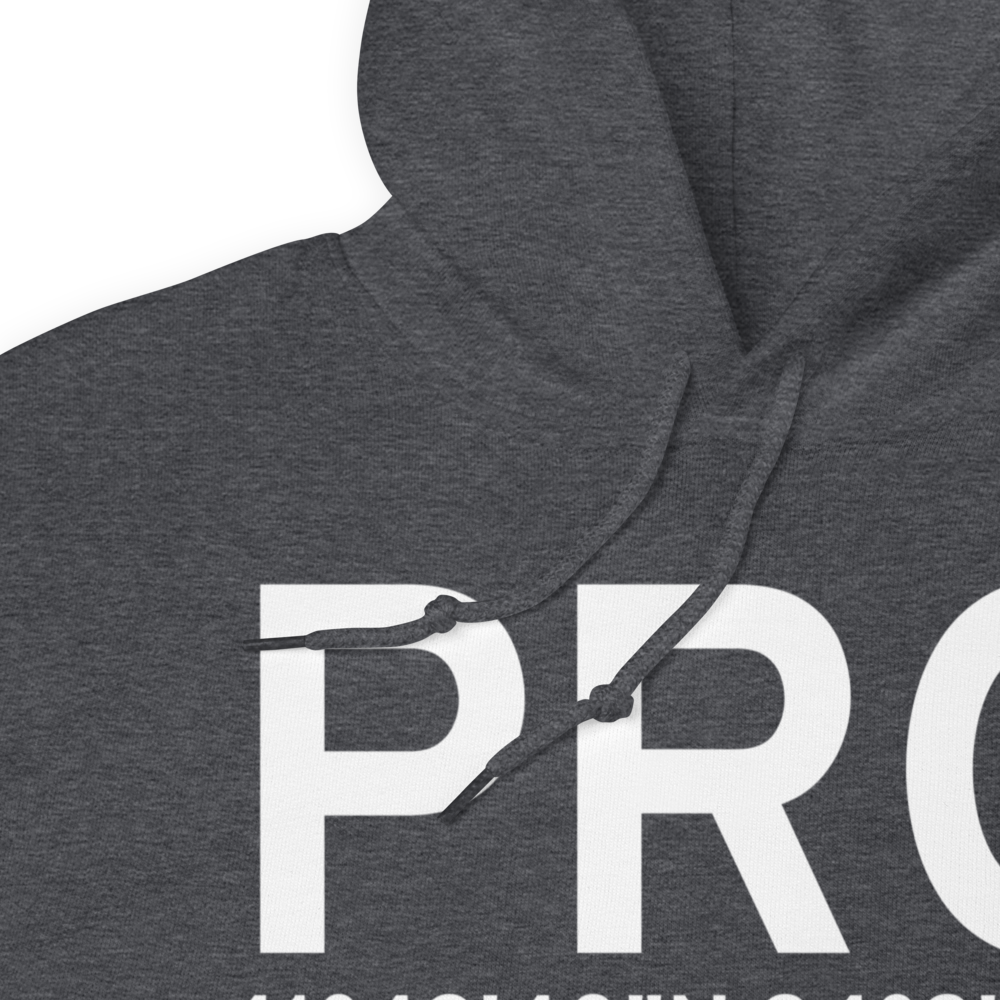 Perry (KPRO) Airport Hoodie Sweatshirt 