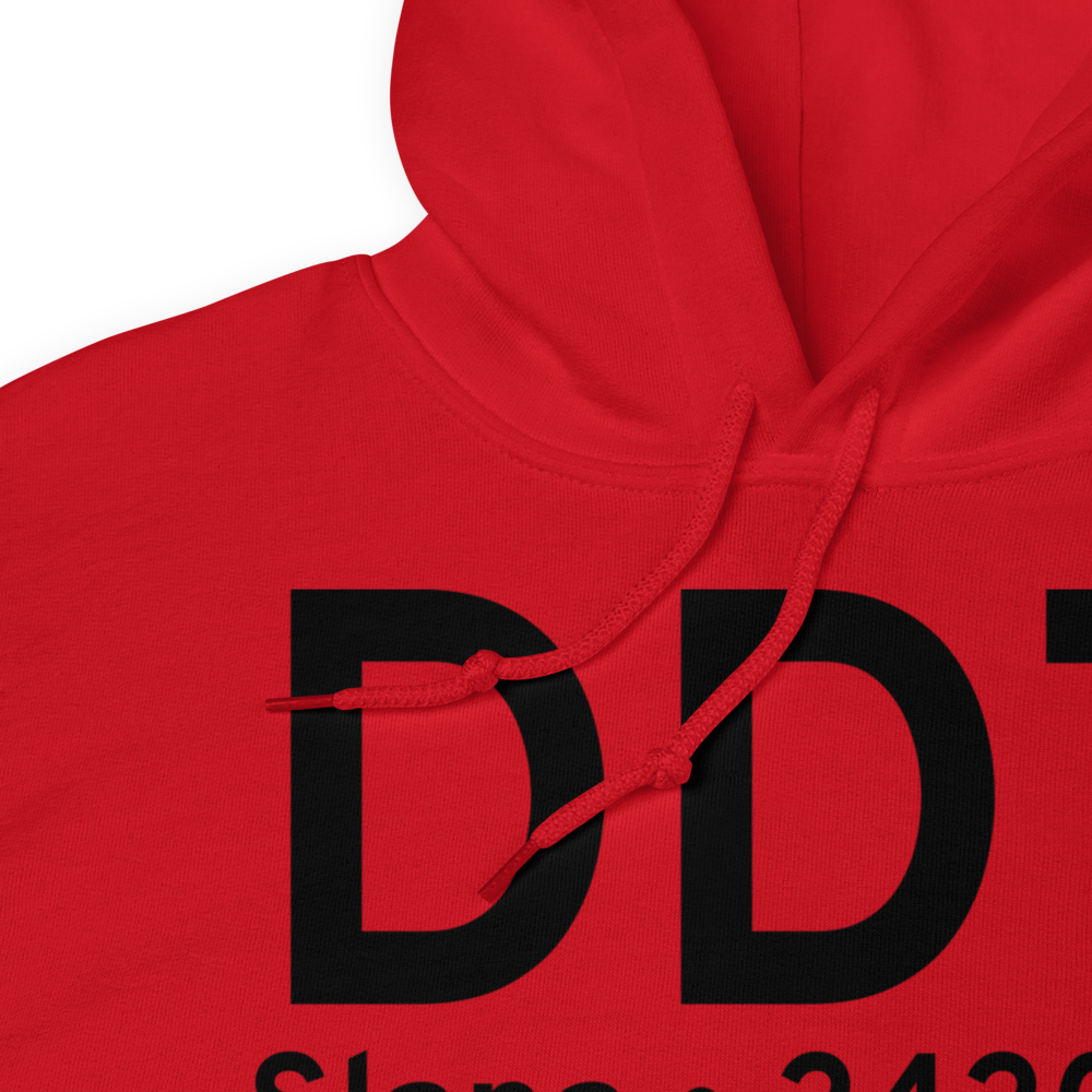 Slana (DDT) Airport Hoodie Sweatshirt 