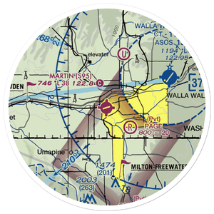 Martin Field (S95) VFR Sectional Sticker (20 mile)