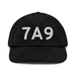 Plains (7A9) Airport Hat
