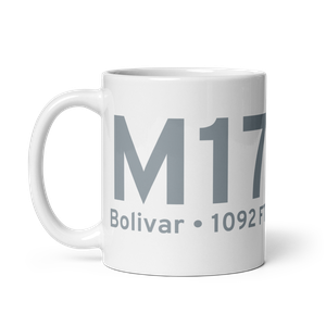 Bolivar (KM17) Airport Mug