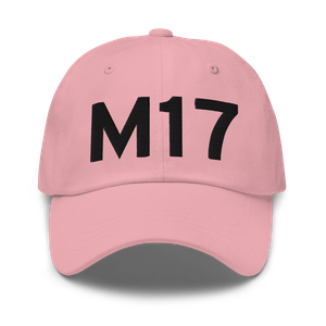 Bolivar (KM17) Airport Hat