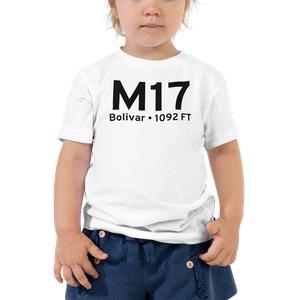 Bolivar (KM17) Airport Toddler T-Shirt