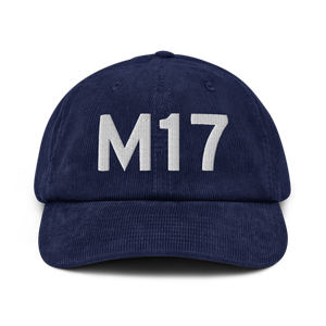 Bolivar (KM17) Airport Hat