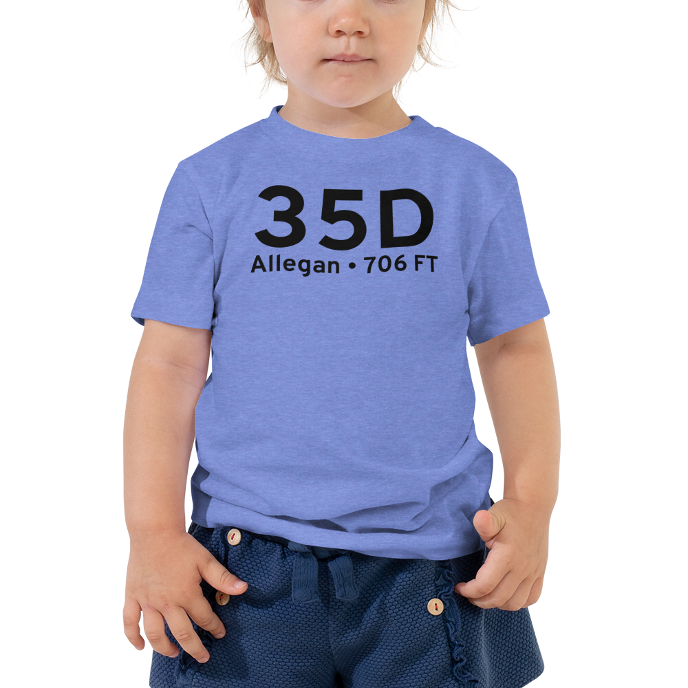 Allegan (K35D) Airport Toddler T-Shirt 
