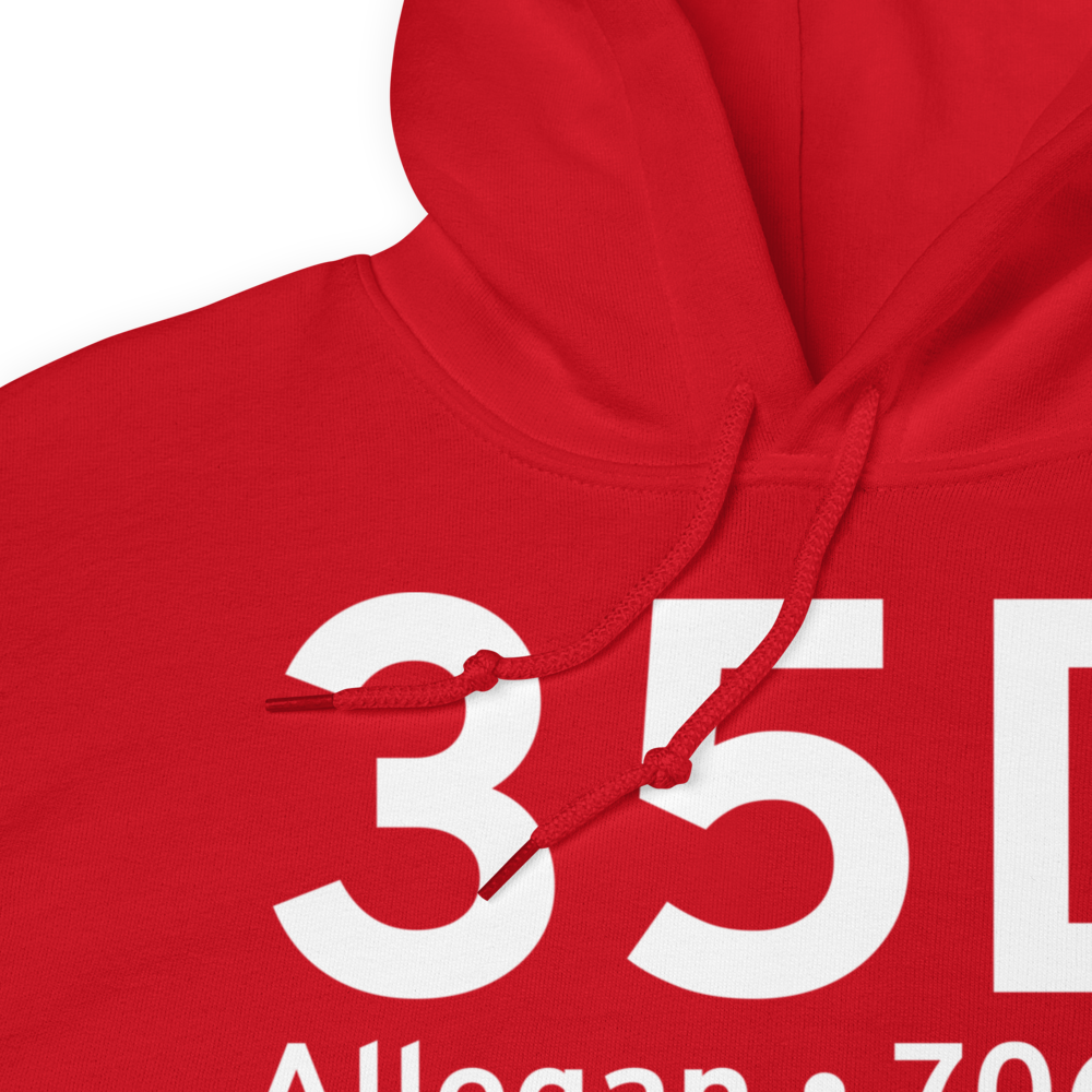 Allegan (K35D) Airport Hoodie Sweatshirt 
