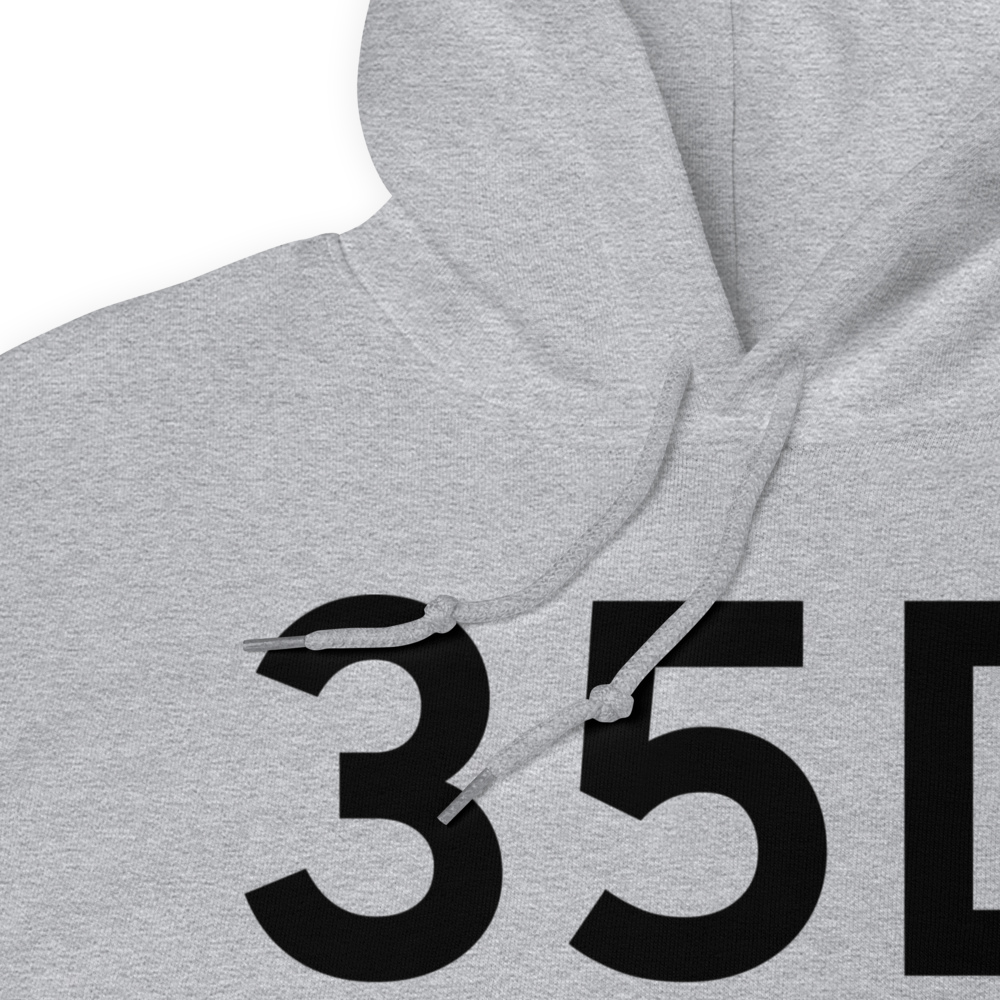 Allegan (K35D) Airport Hoodie Sweatshirt 