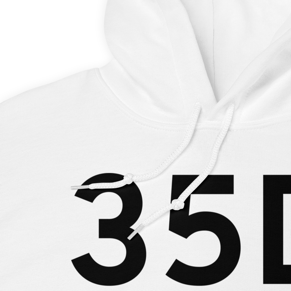 Allegan (K35D) Airport Hoodie Sweatshirt 