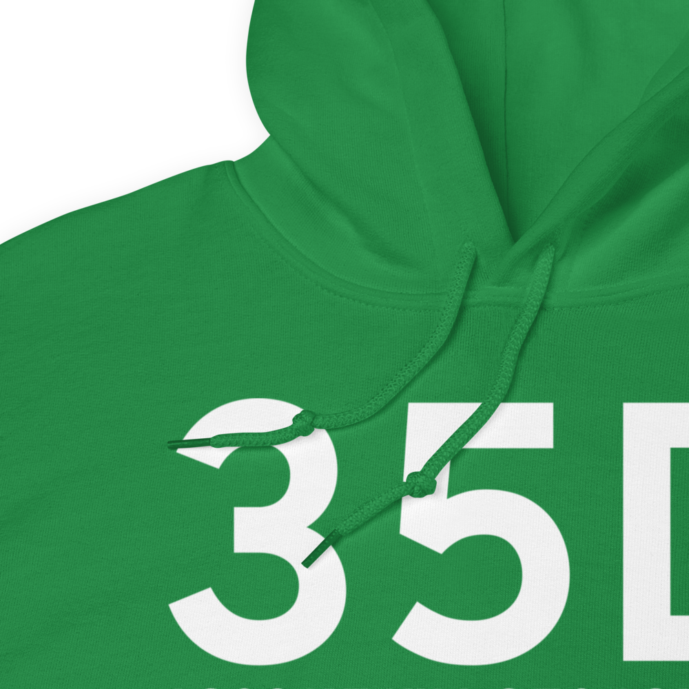 Allegan (K35D) Airport Hoodie Sweatshirt 