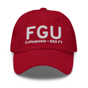 Collegedale (K3M3) Airport Hat