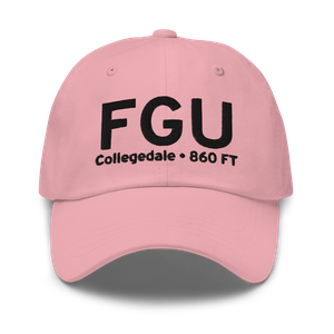 Collegedale (K3M3) Airport Hat