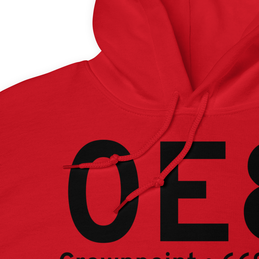 Crownpoint (K0E8) Airport Hoodie Sweatshirt 