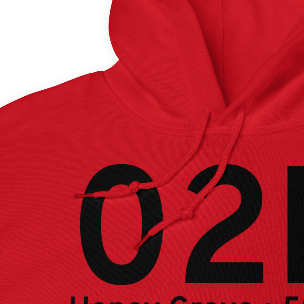 Honey Grove (02P) Airport Hoodie Sweatshirt 