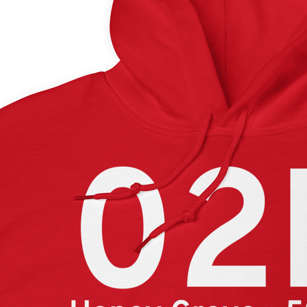 Honey Grove (02P) Airport Hoodie Sweatshirt 