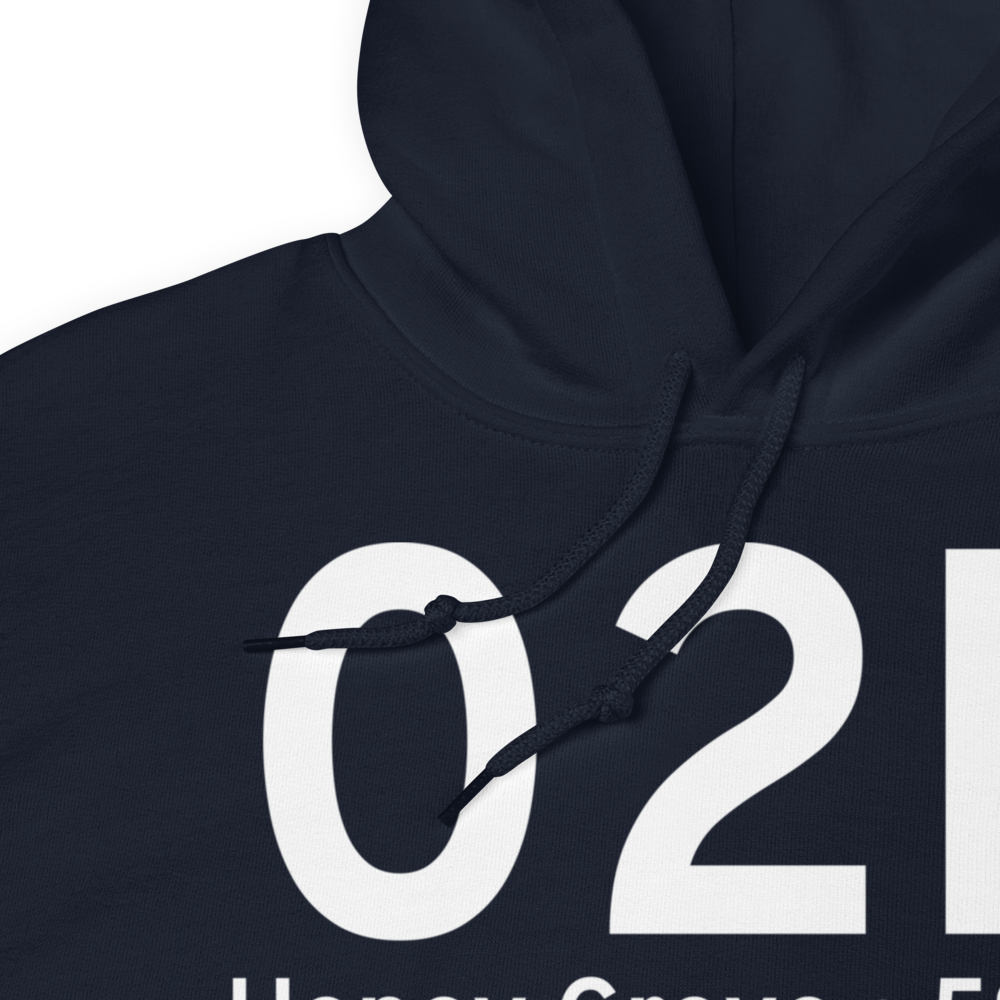 Honey Grove (02P) Airport Hoodie Sweatshirt 