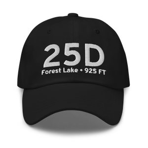 Forest Lake (K25D) Airport Hat