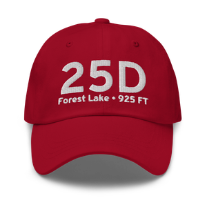 Forest Lake (K25D) Airport Hat