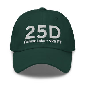 Forest Lake (K25D) Airport Hat