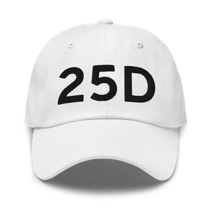 Forest Lake (K25D) Airport Hat