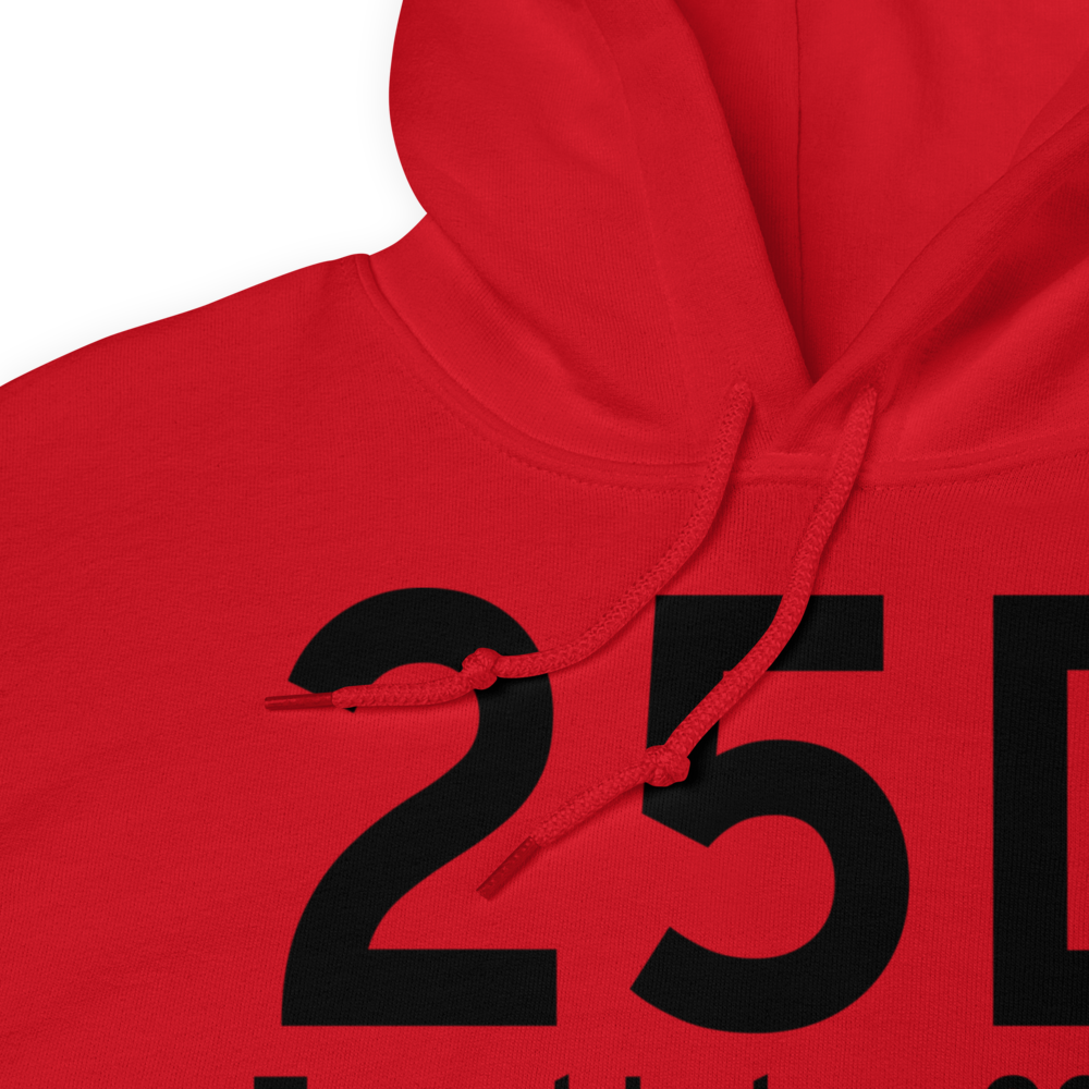 Forest Lake (K25D) Airport Hoodie Sweatshirt 