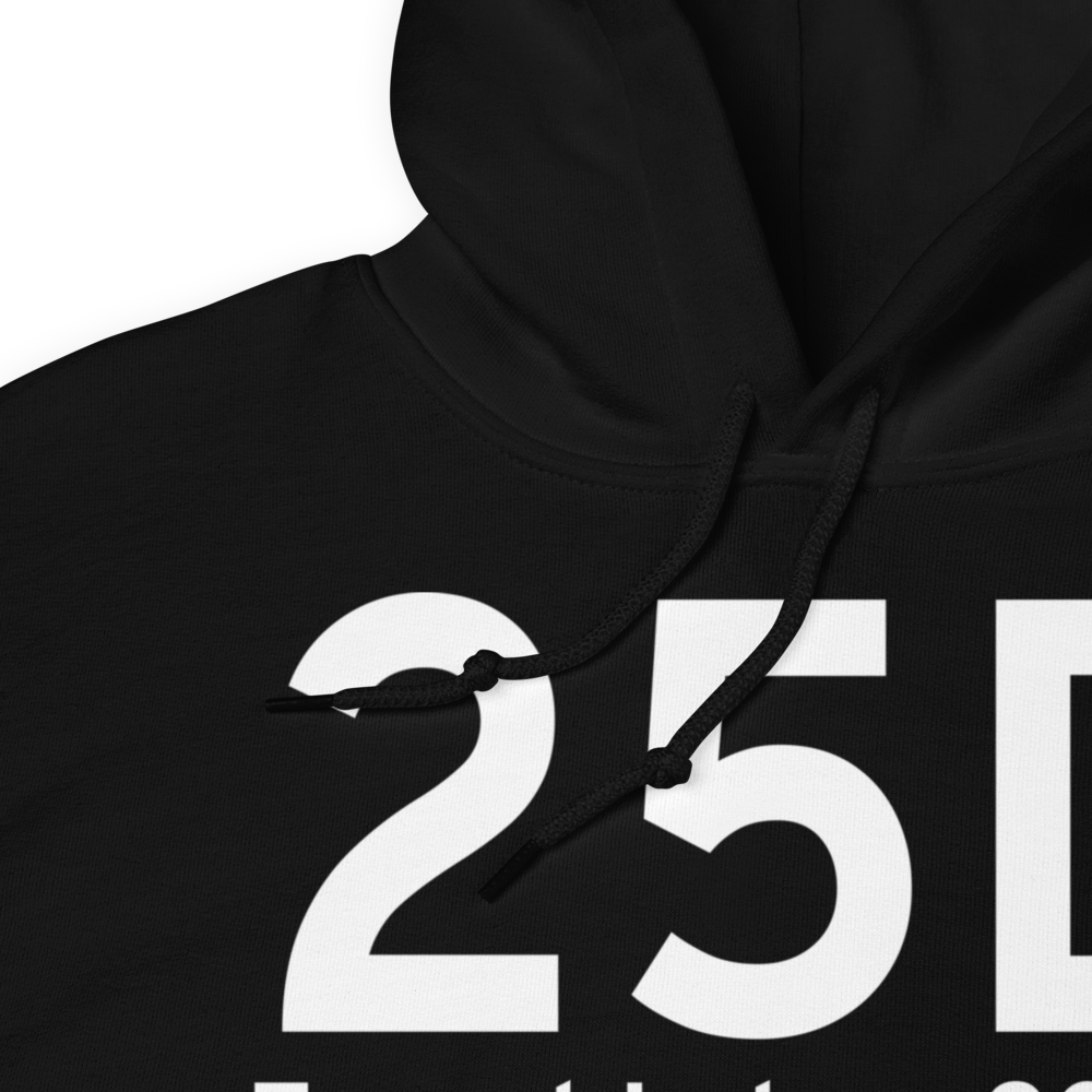 Forest Lake (K25D) Airport Hoodie Sweatshirt 