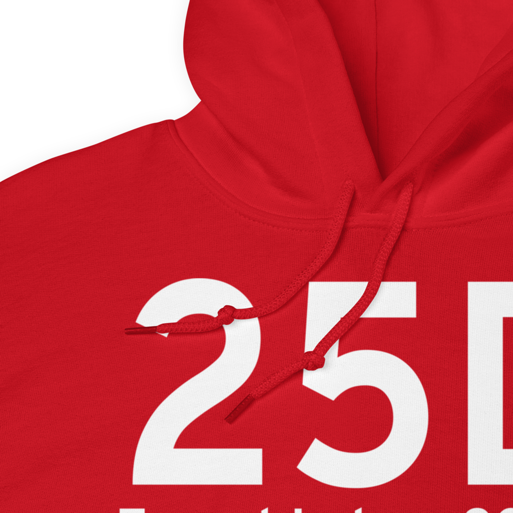 Forest Lake (K25D) Airport Hoodie Sweatshirt 