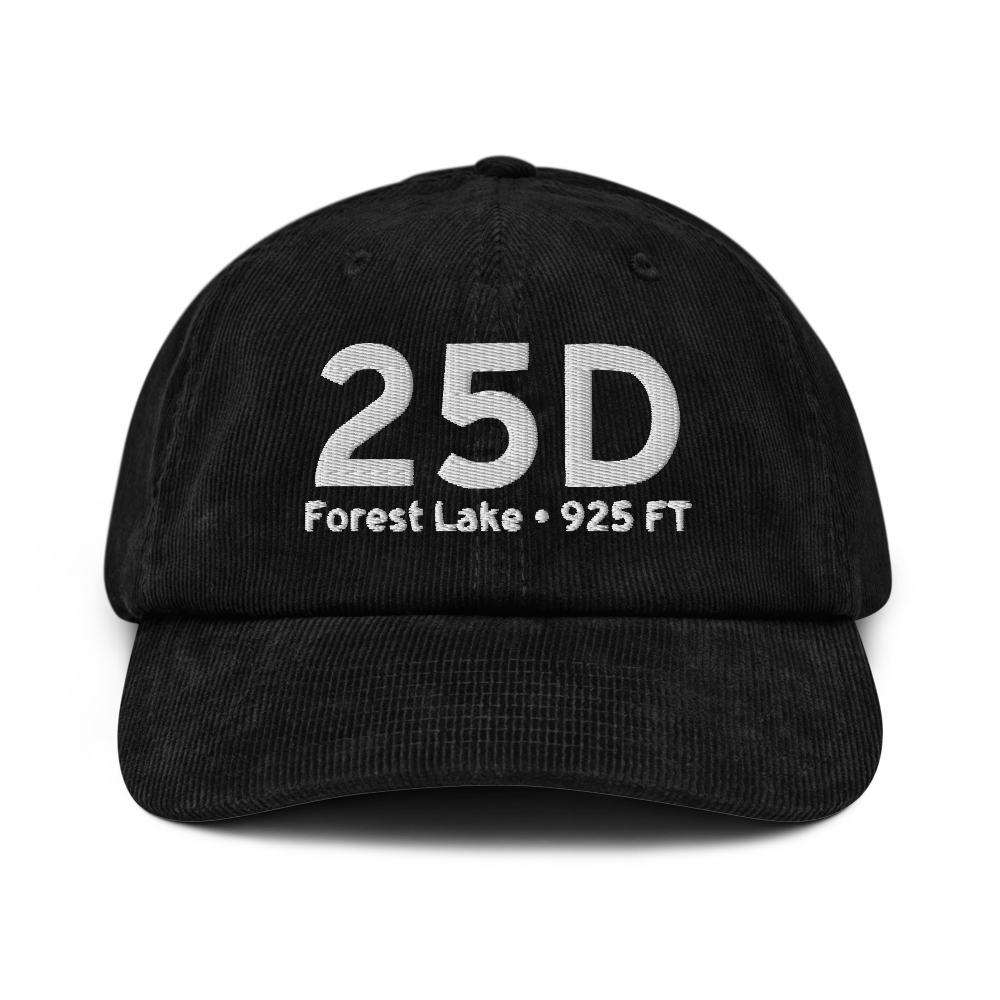 Forest Lake (K25D) Airport Hat 