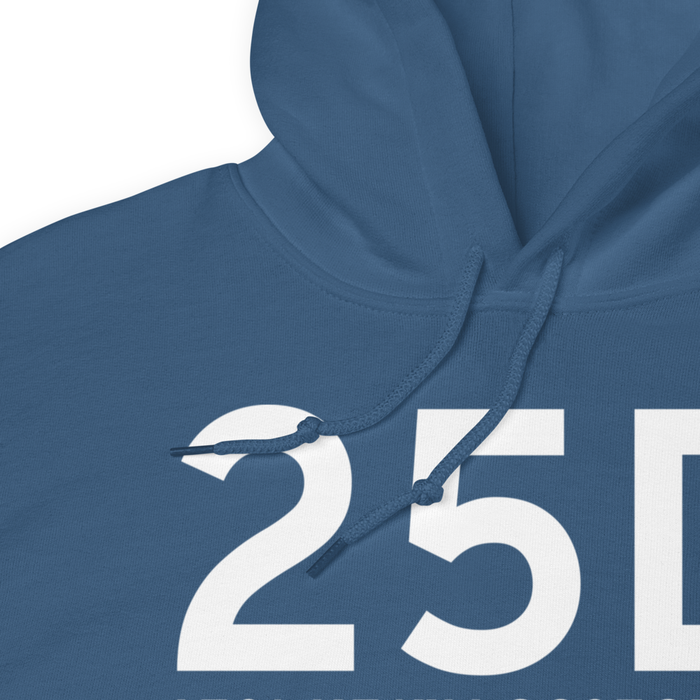 Forest Lake (K25D) Airport Hoodie Sweatshirt 