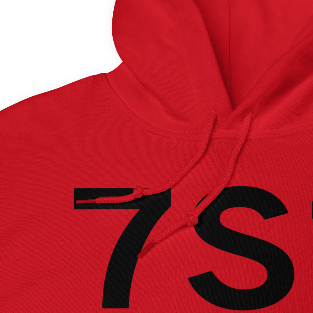 Twin Bridges (K7S1) Airport Hoodie Sweatshirt 