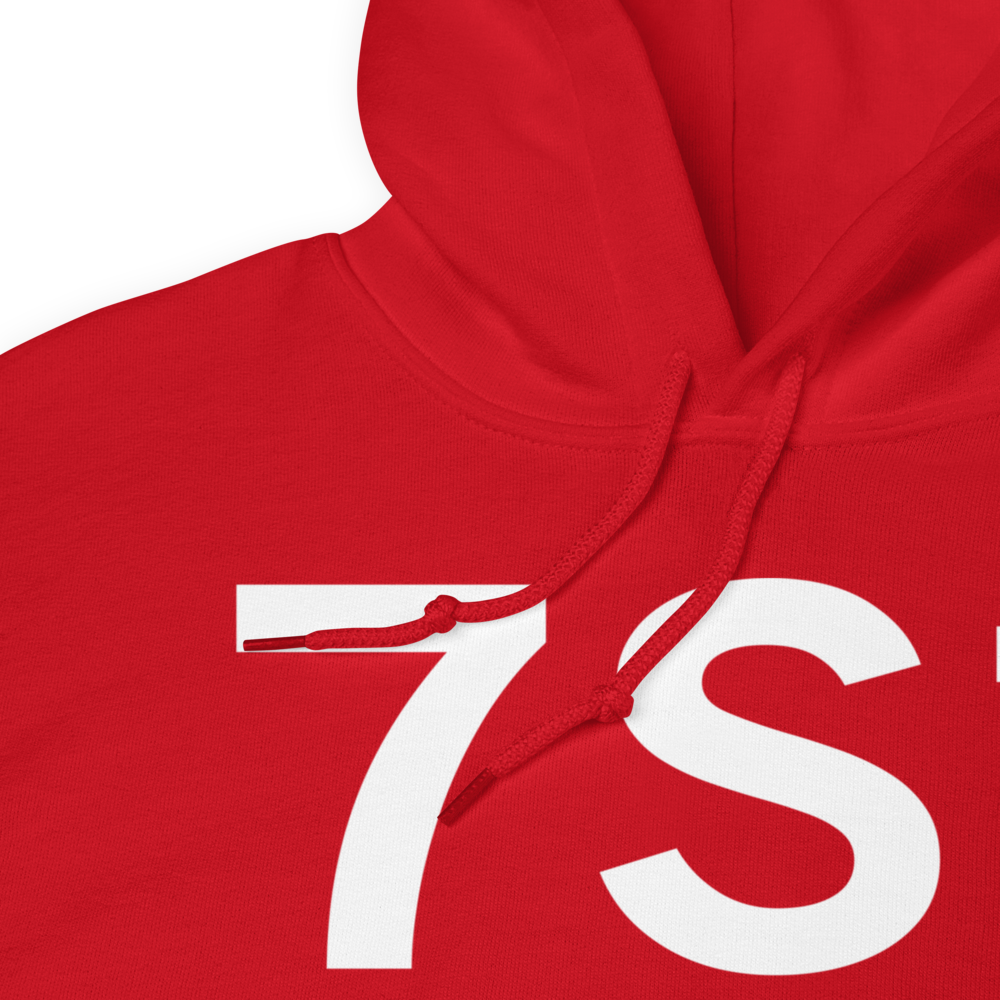 Twin Bridges (K7S1) Airport Hoodie Sweatshirt 