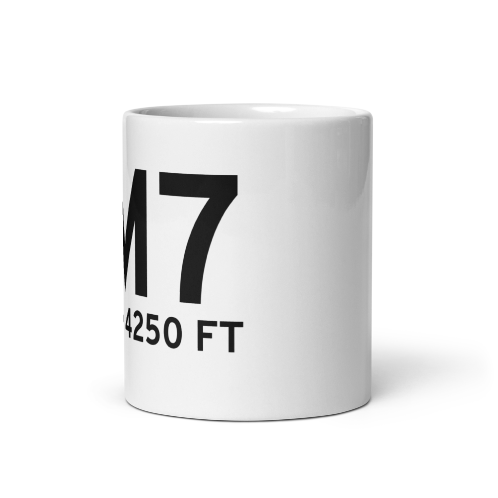 Helena (5M7) Airport Mug 