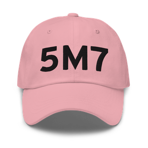 Helena (5M7) Airport Hat