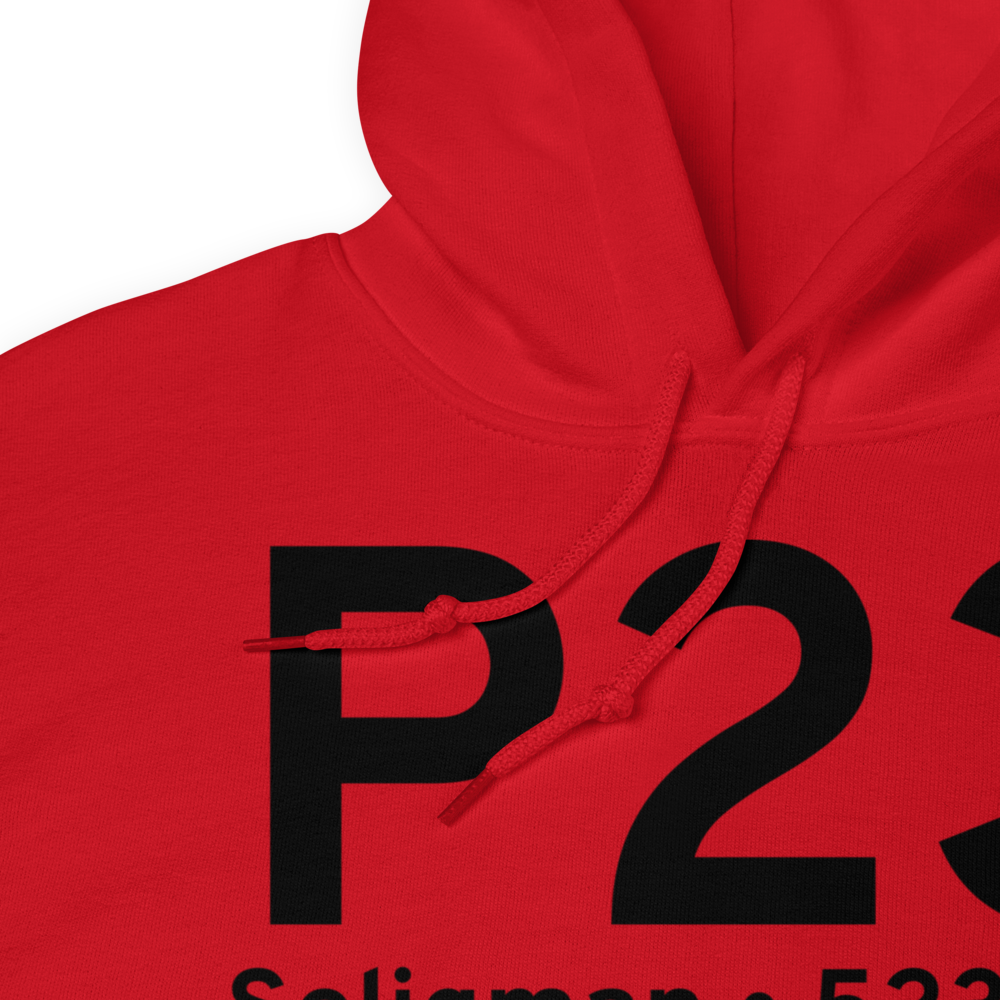 Seligman (KP23) Airport Hoodie Sweatshirt 