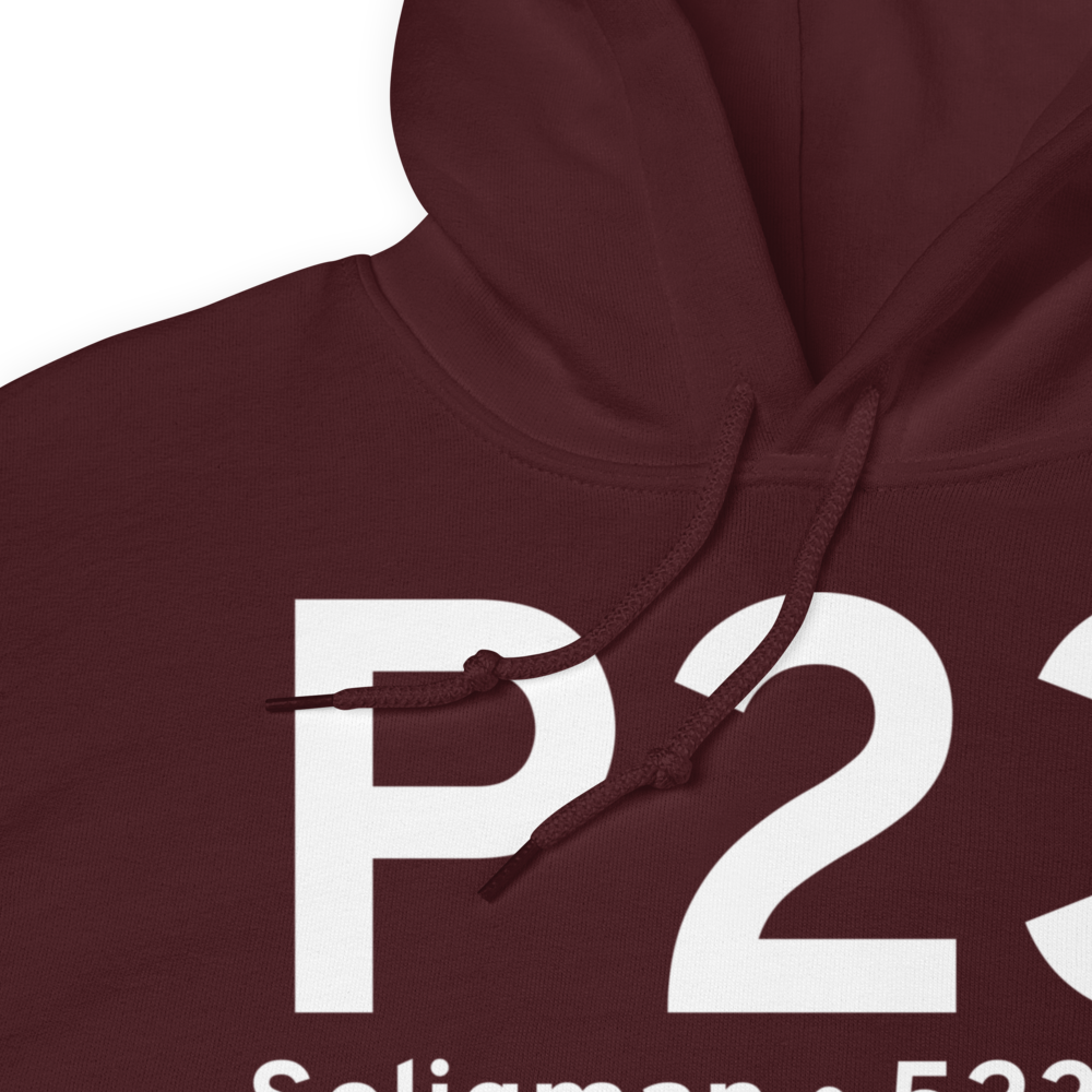 Seligman (KP23) Airport Hoodie Sweatshirt 