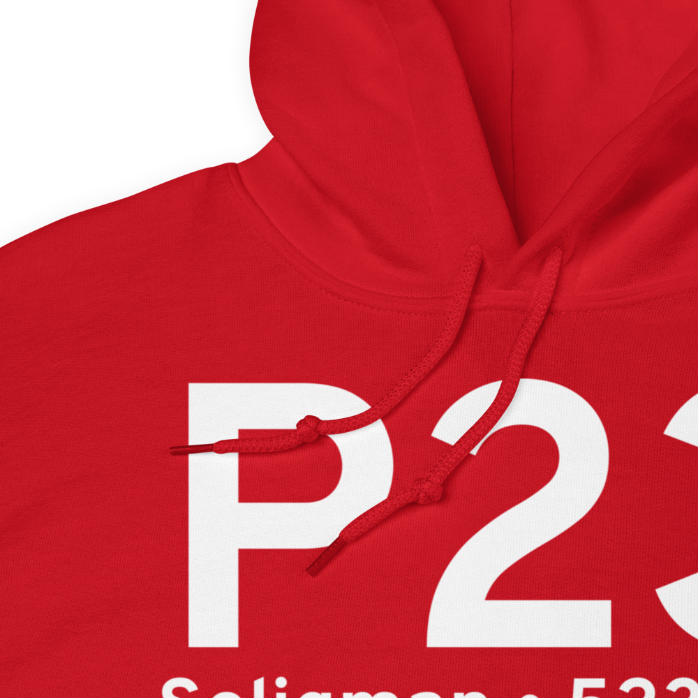 Seligman (KP23) Airport Hoodie Sweatshirt 
