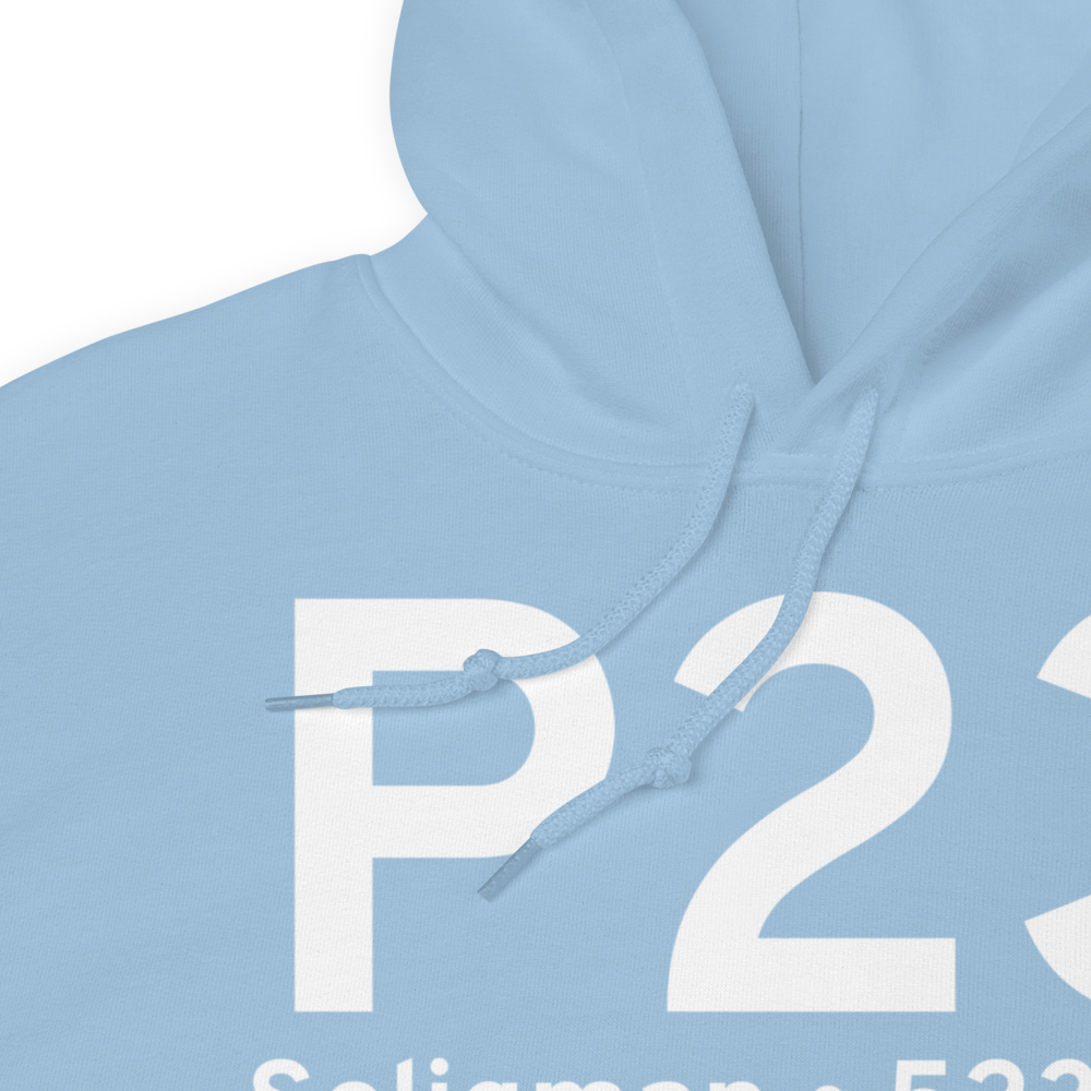 Seligman (KP23) Airport Hoodie Sweatshirt 