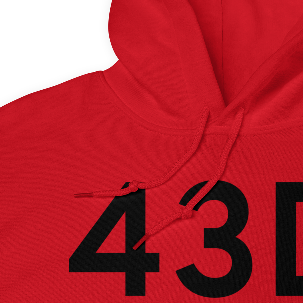 Odessa (K43D) Airport Hoodie Sweatshirt 