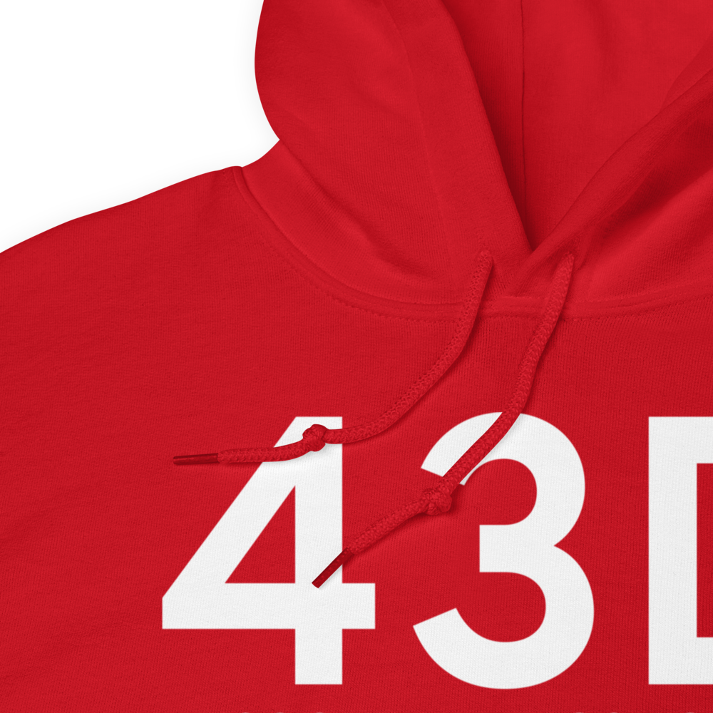 Odessa (K43D) Airport Hoodie Sweatshirt 