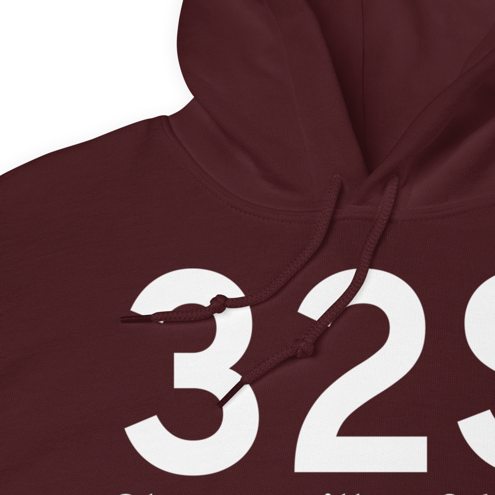 Stevensville (K32S) Airport Hoodie Sweatshirt 