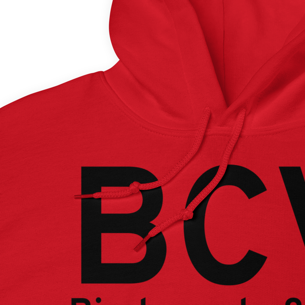 Birchwood (PABV) Airport Hoodie Sweatshirt 
