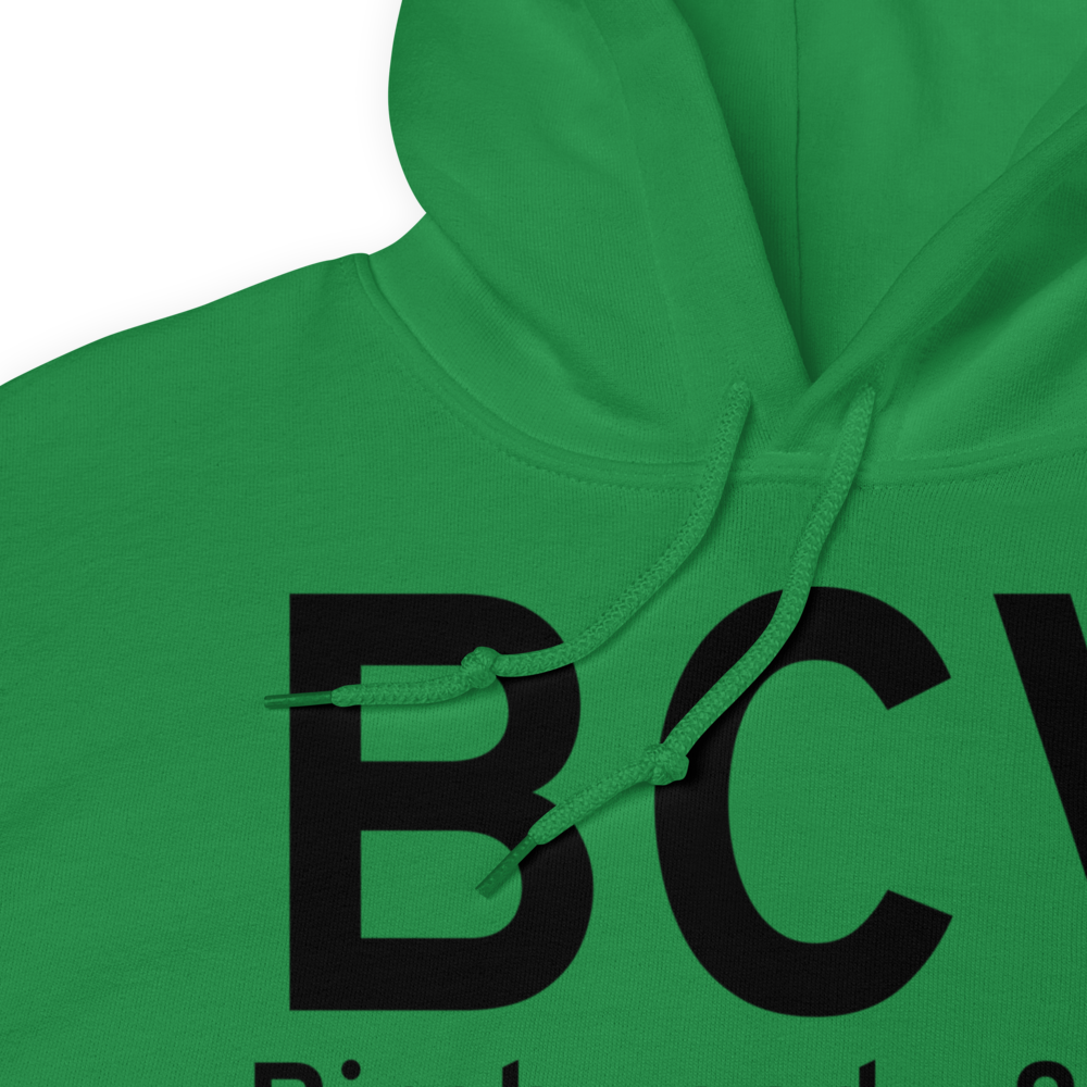 Birchwood (PABV) Airport Hoodie Sweatshirt 